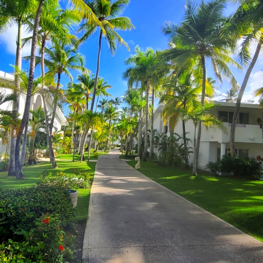 Meet your Posher, Rosa